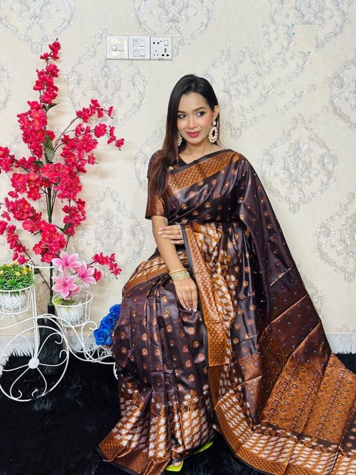 Premium Soft Silk Katan Saree